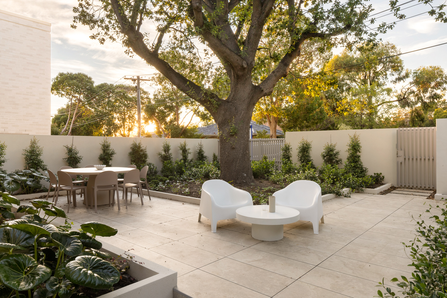 Private garden courtyard beneath established trees